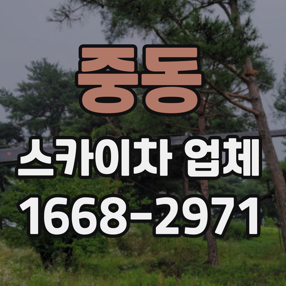 중동 스카이차 업체