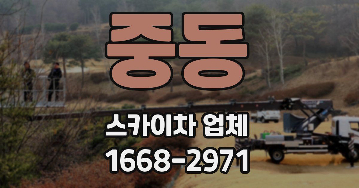 중동 스카이차 업체