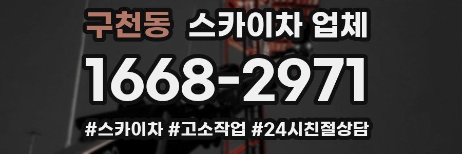 구천동 스카이차 업체