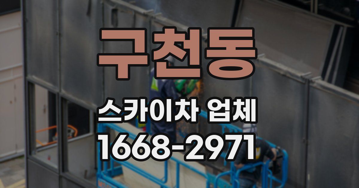 구천동 스카이차 업체