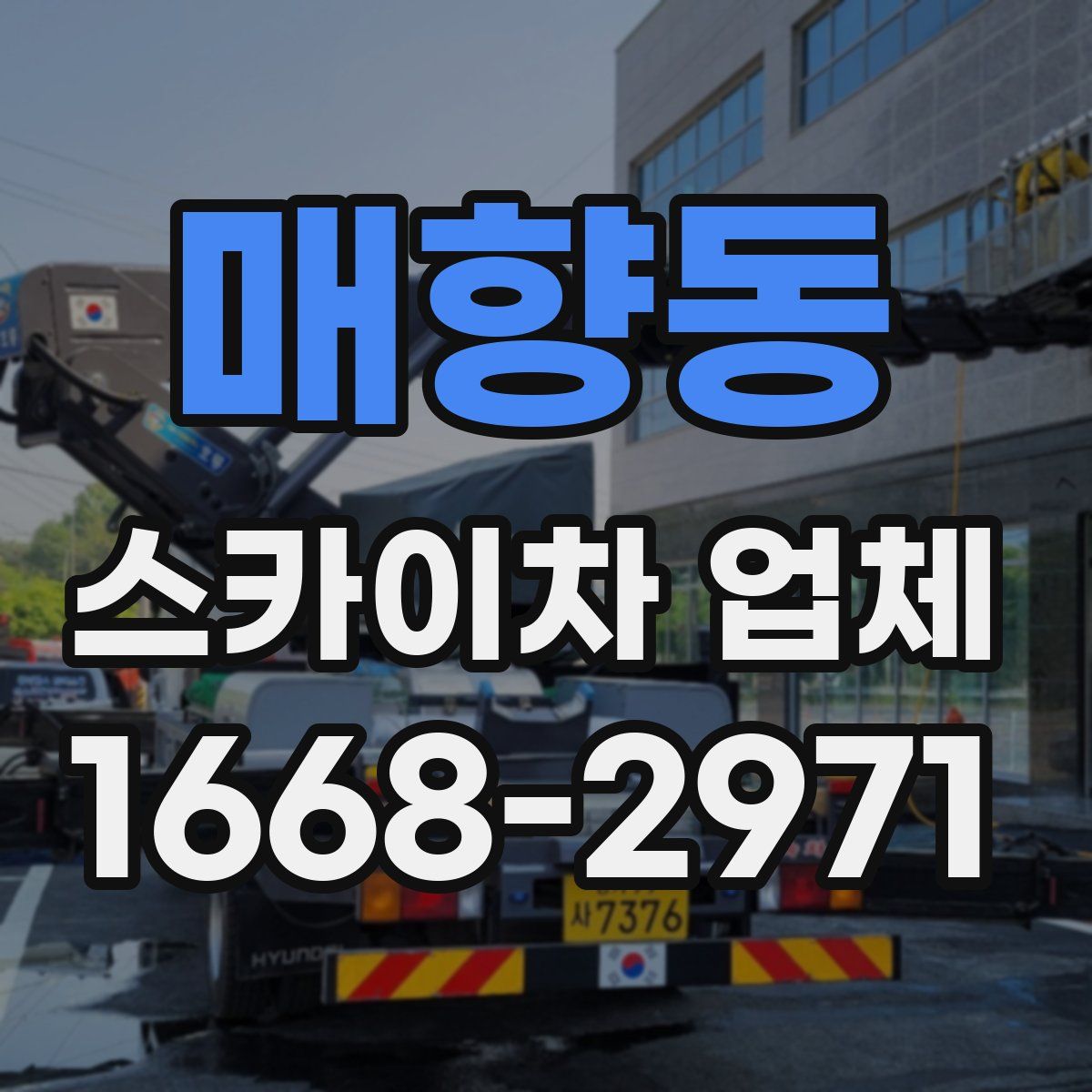 매향동 스카이차 업체