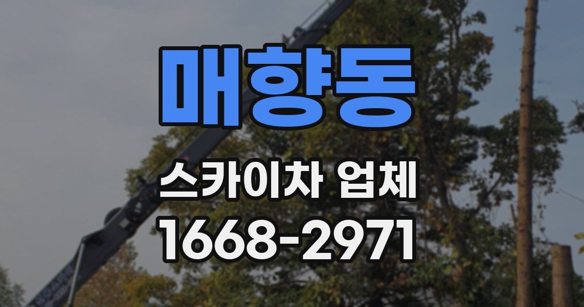 매향동 스카이차 업체
