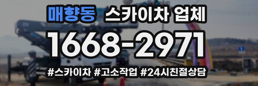 매향동 스카이차 업체