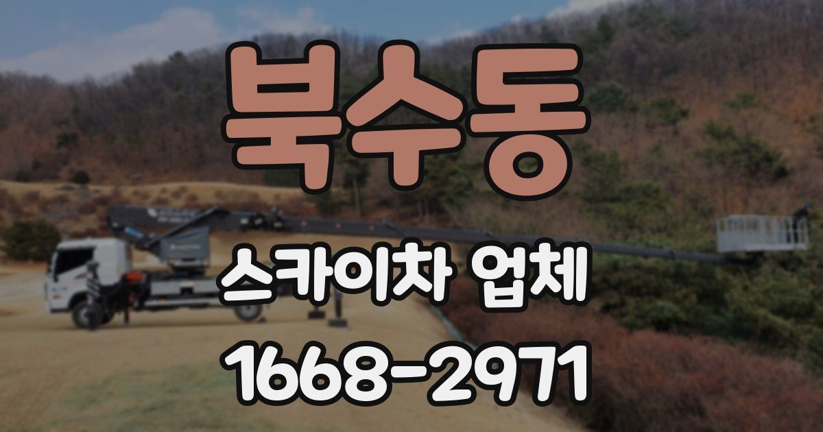 북수동 스카이차 업체