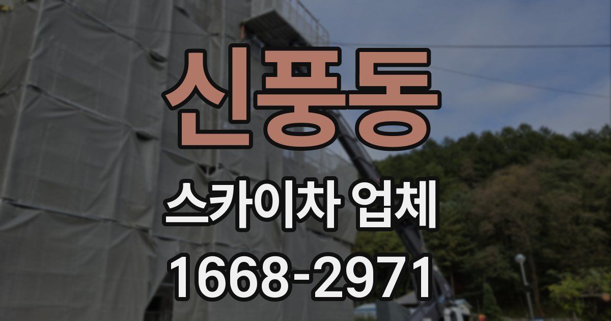 신풍동 스카이차 업체