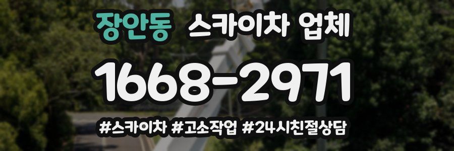 장안동 스카이차 업체