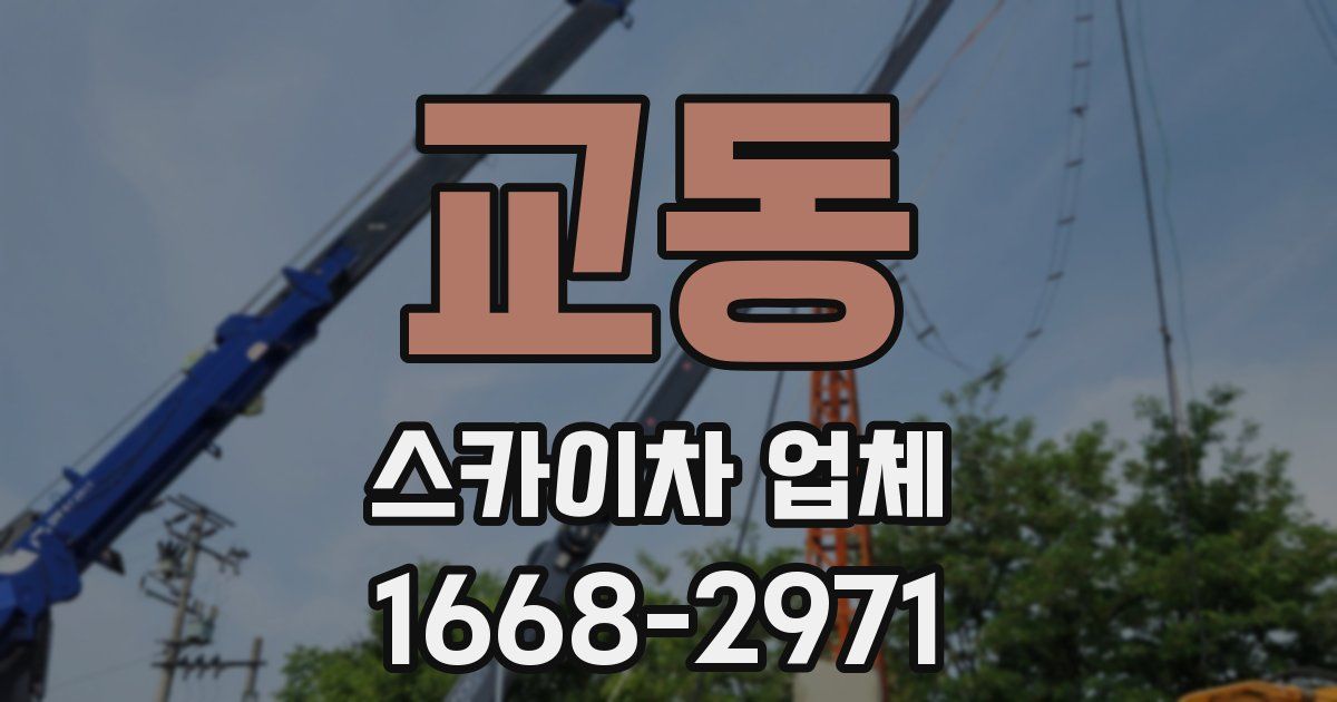 교동 스카이차 업체