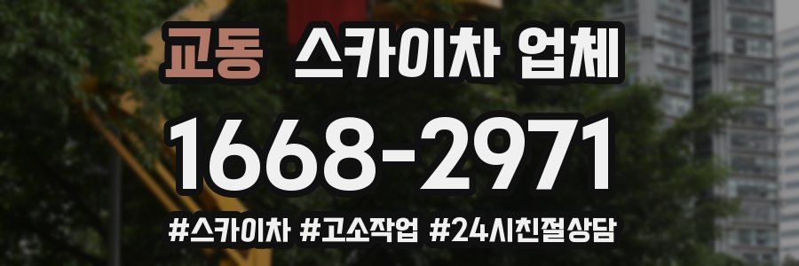 교동 스카이차 업체