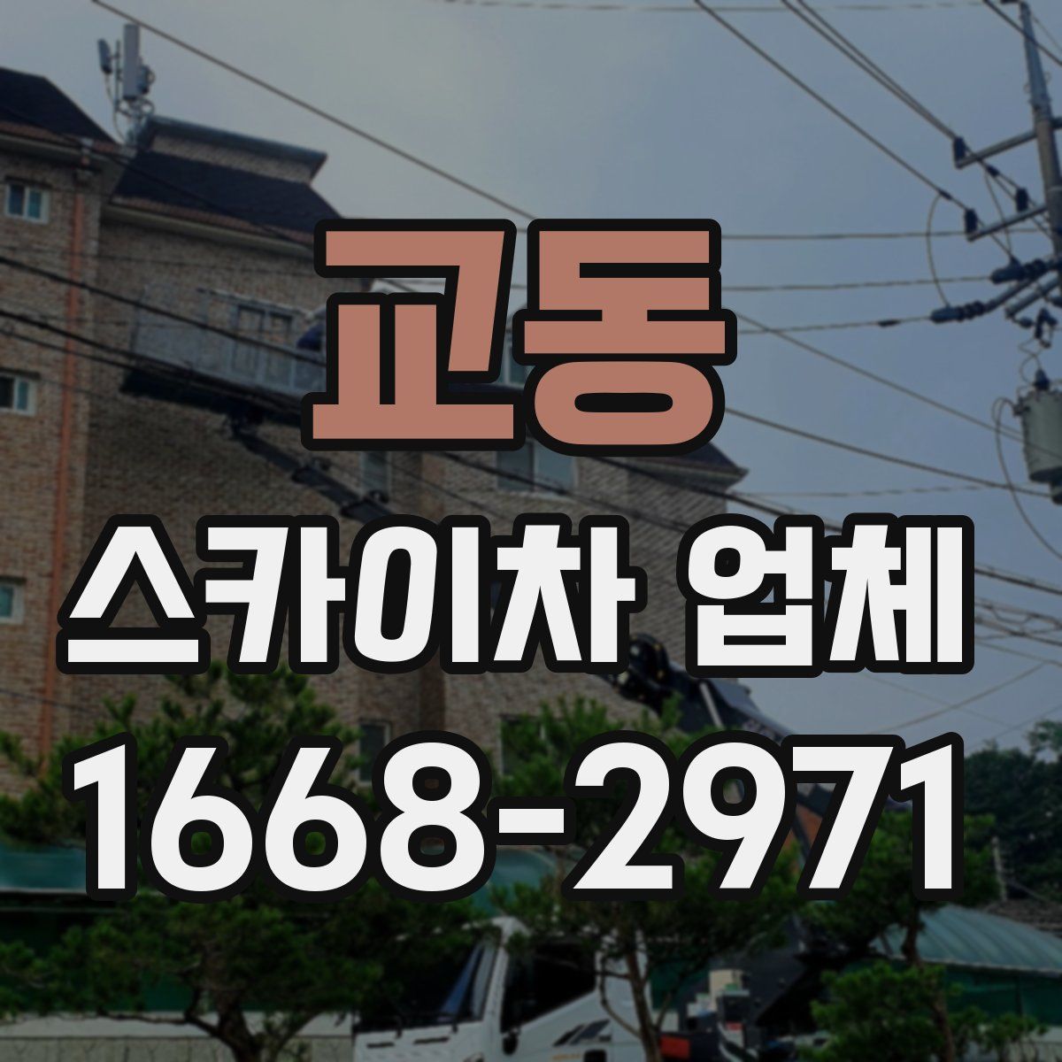 교동 스카이차 업체