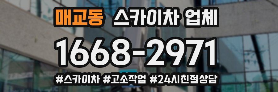 매교동 스카이차 업체