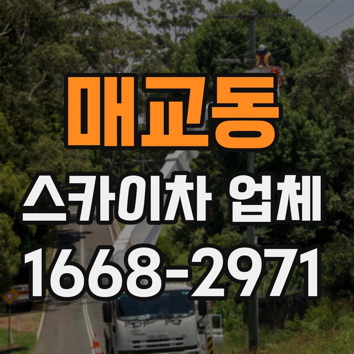 매교동 스카이차 업체