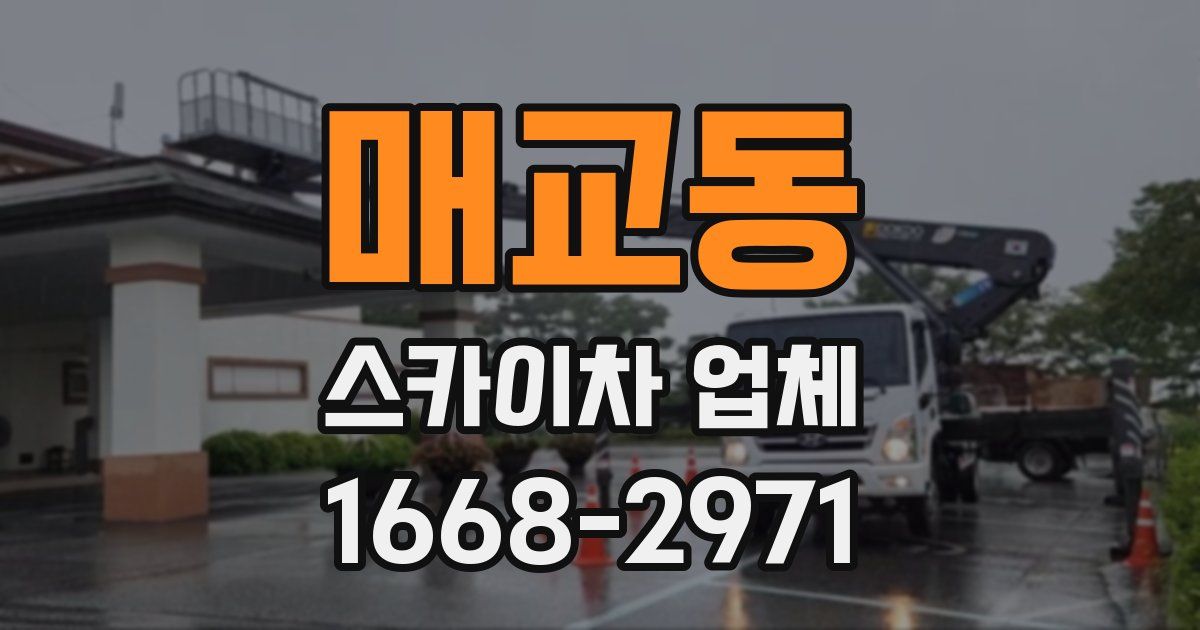 매교동 스카이차 업체