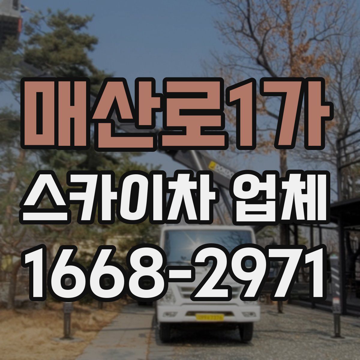 매산로1가 스카이차 업체