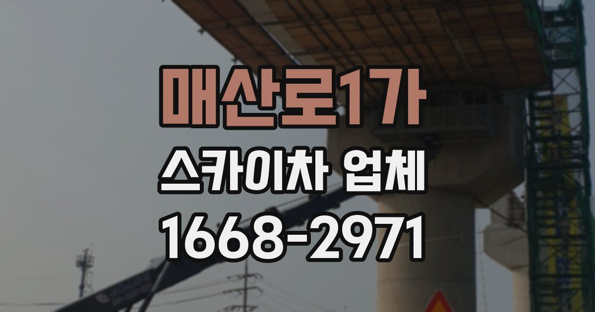 매산로1가 스카이차 업체
