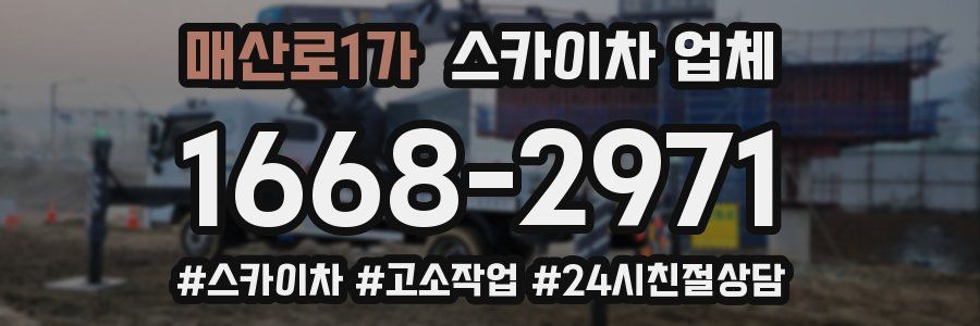 매산로1가 스카이차 업체