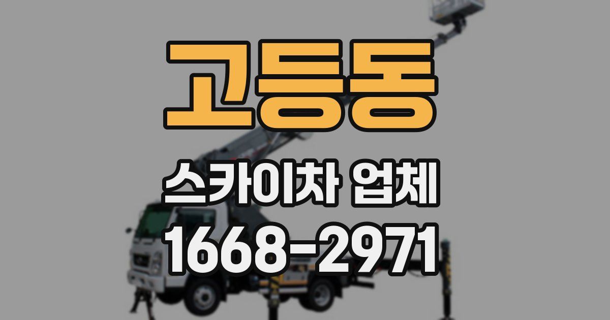 고등동 스카이차 업체