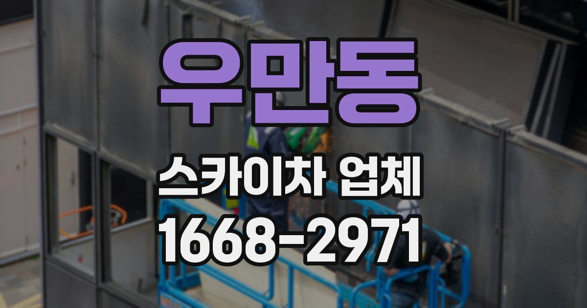 우만동 스카이차 업체