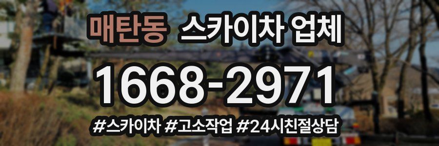매탄동 스카이차 업체