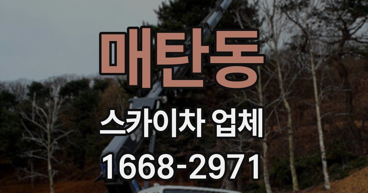 매탄동 스카이차 업체