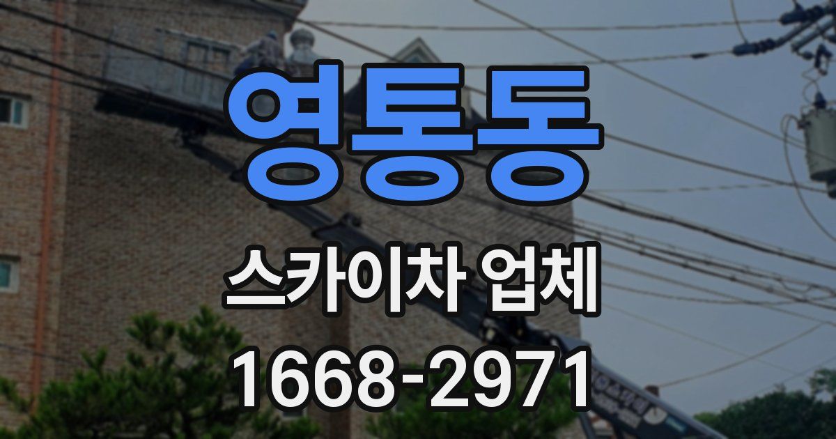 영통동 스카이차 업체