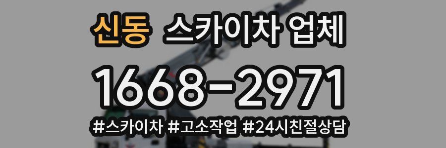 신동 스카이차 업체