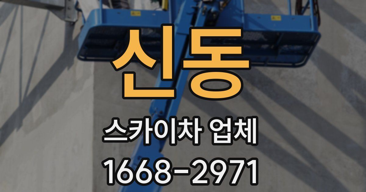 신동 스카이차 업체