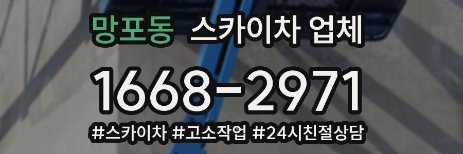 망포동 스카이차 업체