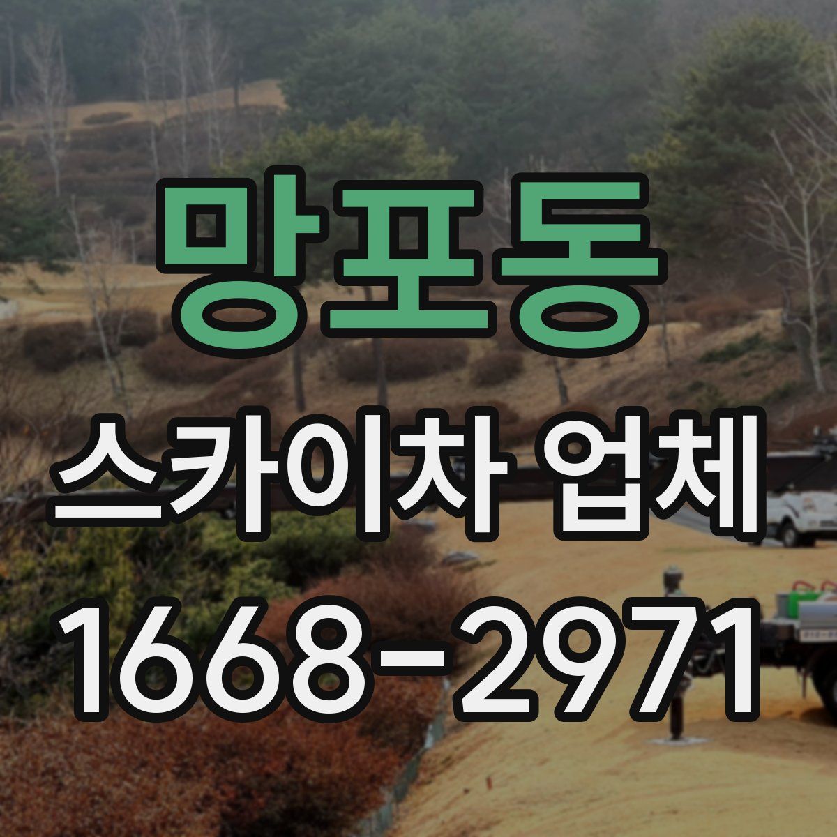 망포동 스카이차 업체
