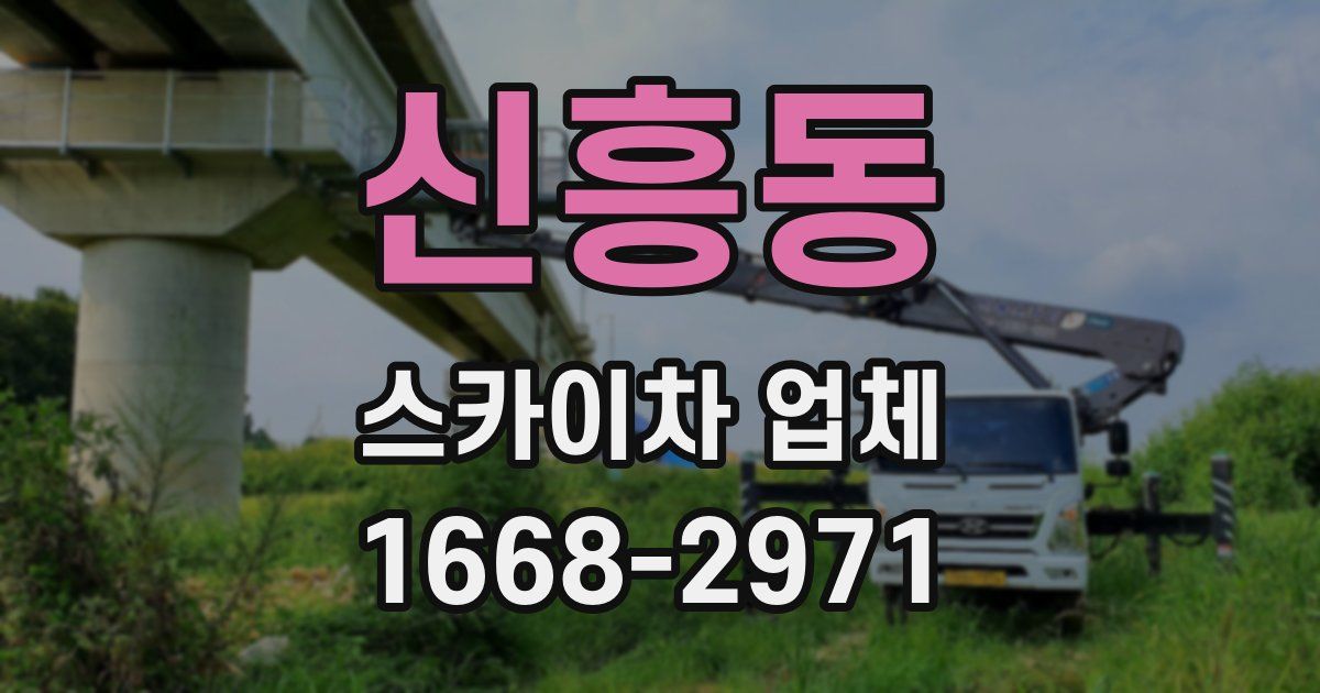 신흥동 스카이차 업체