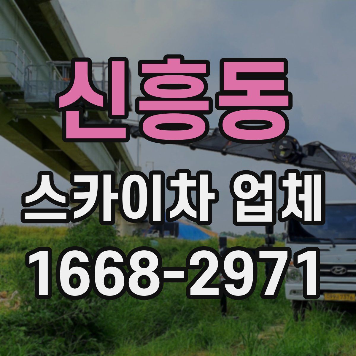 신흥동 스카이차 업체