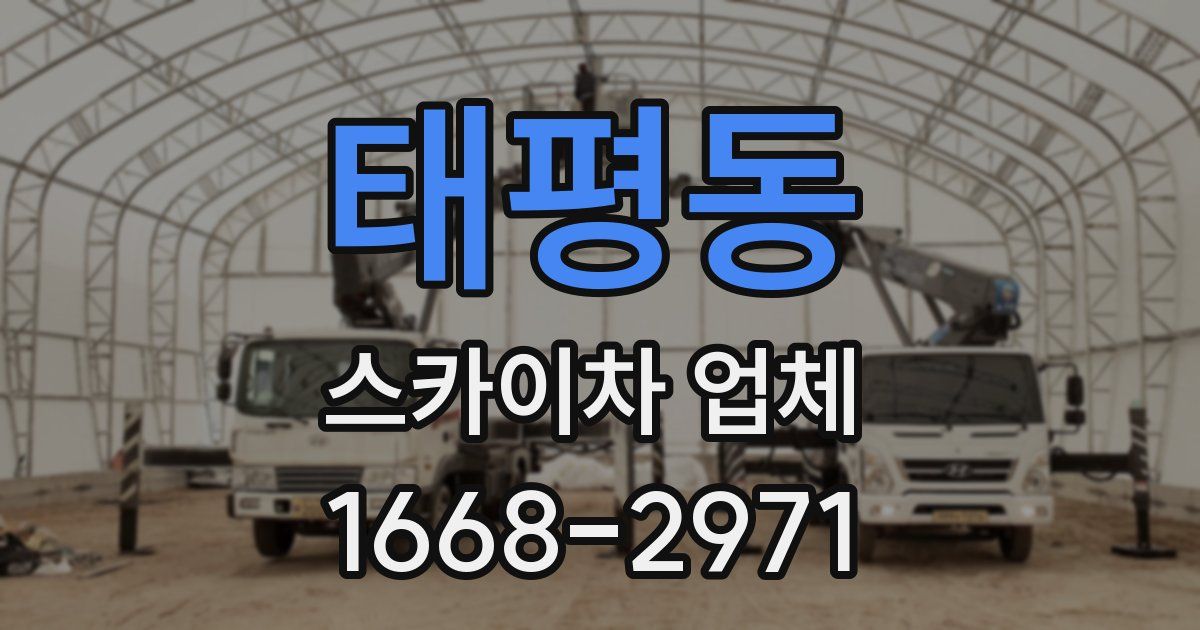 태평동 스카이차 업체