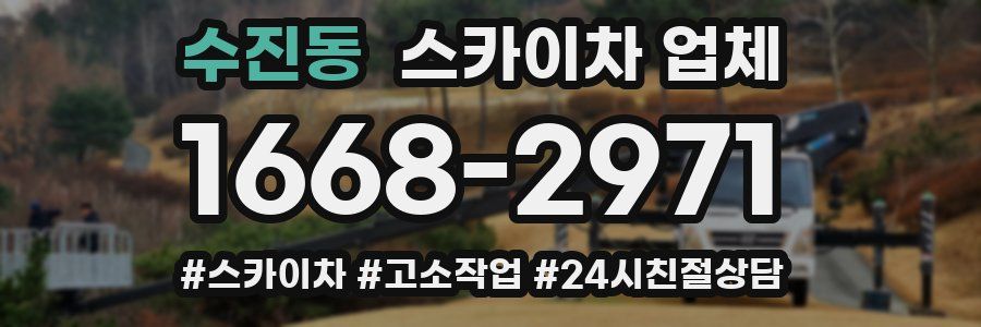 수진동 스카이차 업체