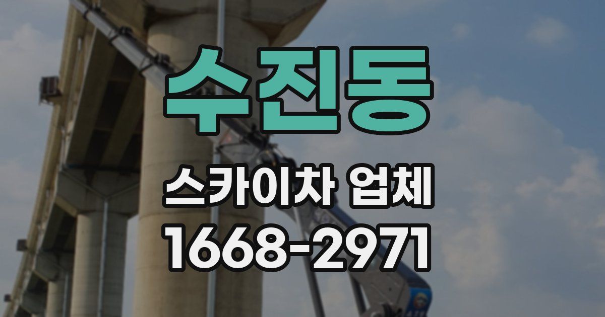 수진동 스카이차 업체