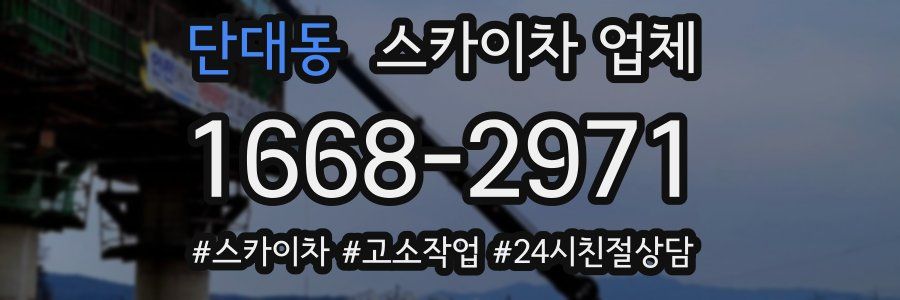 단대동 스카이차 업체