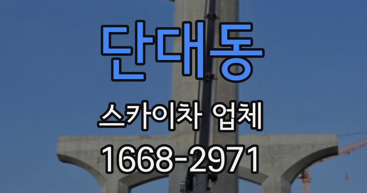 단대동 스카이차 업체