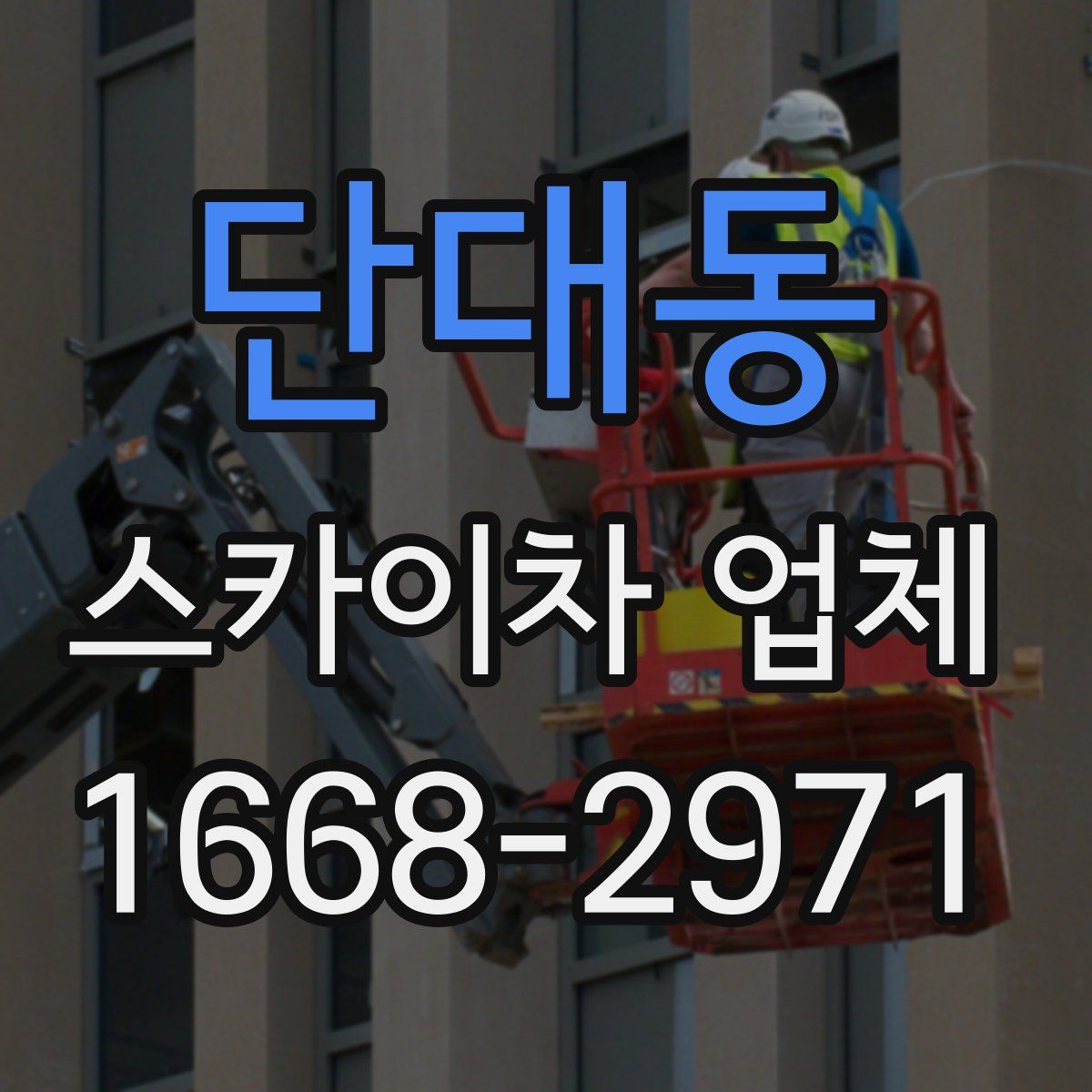 단대동 스카이차 업체