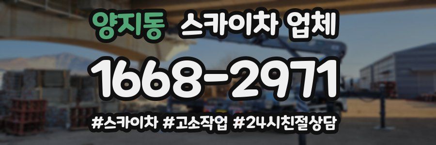 양지동 스카이차 업체