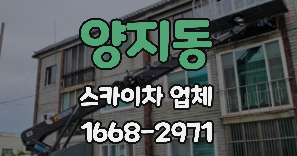 양지동 스카이차 업체