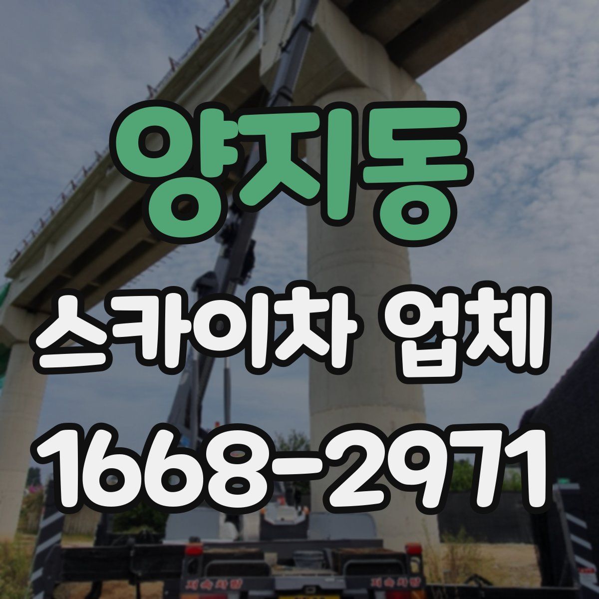 양지동 스카이차 업체
