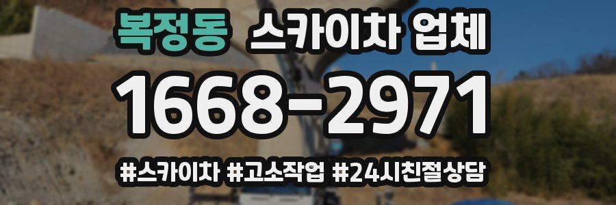복정동 스카이차 업체