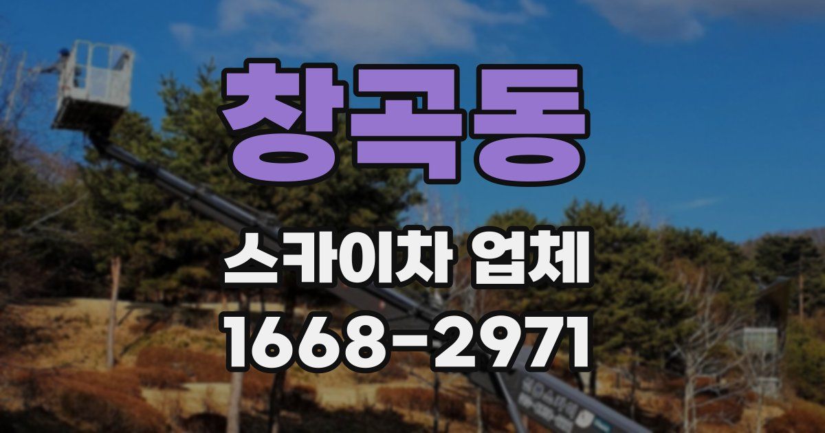 창곡동 스카이차 업체