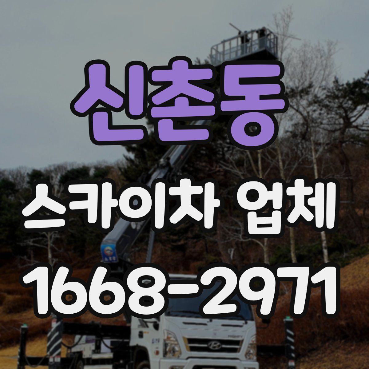 신촌동 스카이차 업체