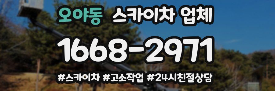오야동 스카이차 업체