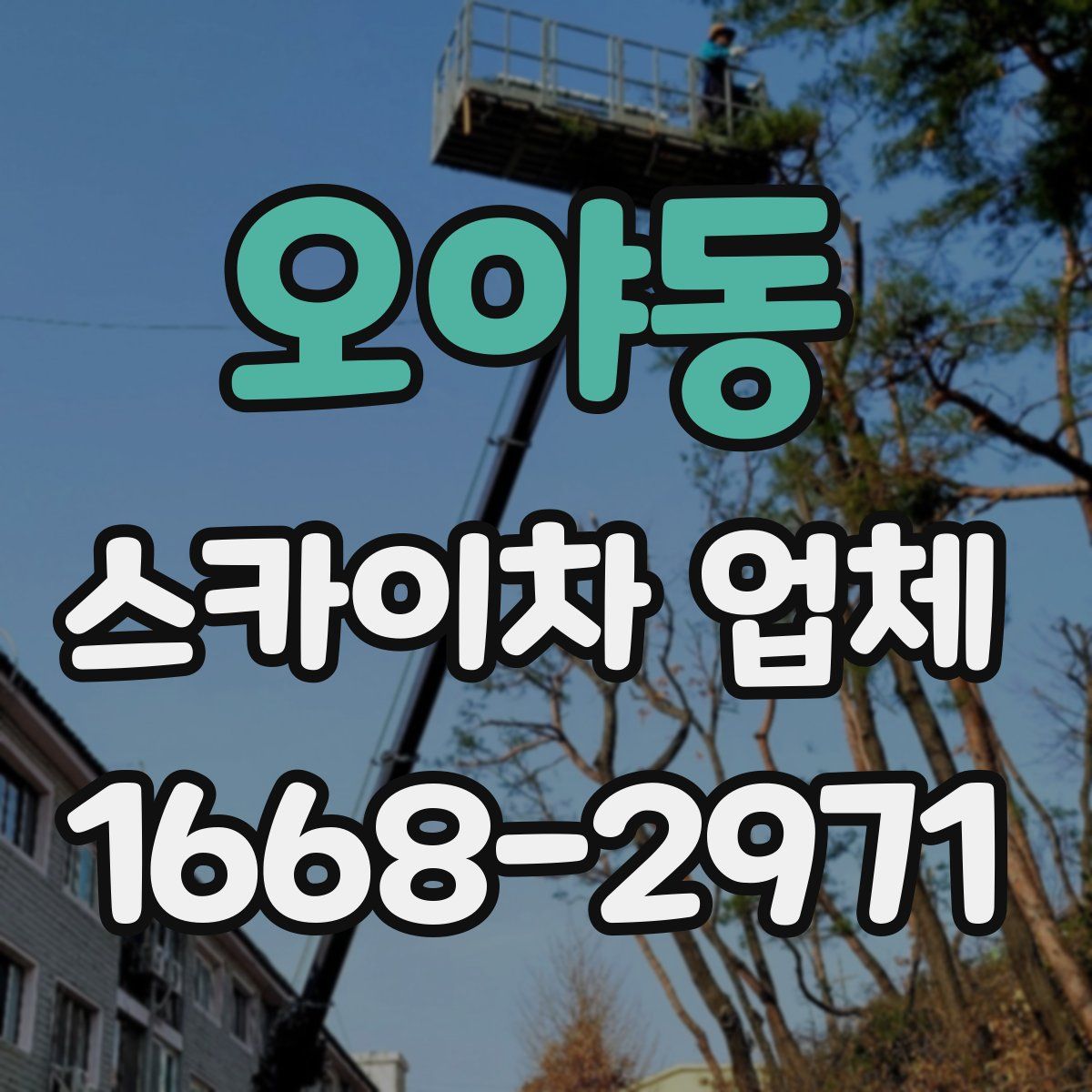 오야동 스카이차 업체