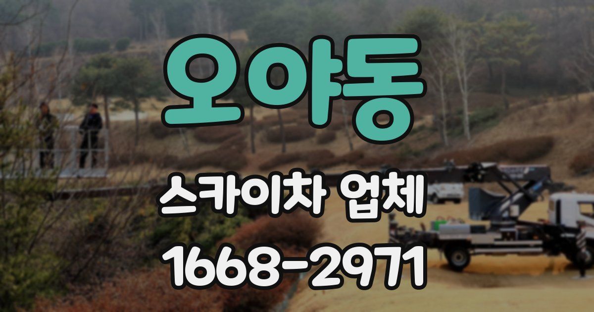오야동 스카이차 업체