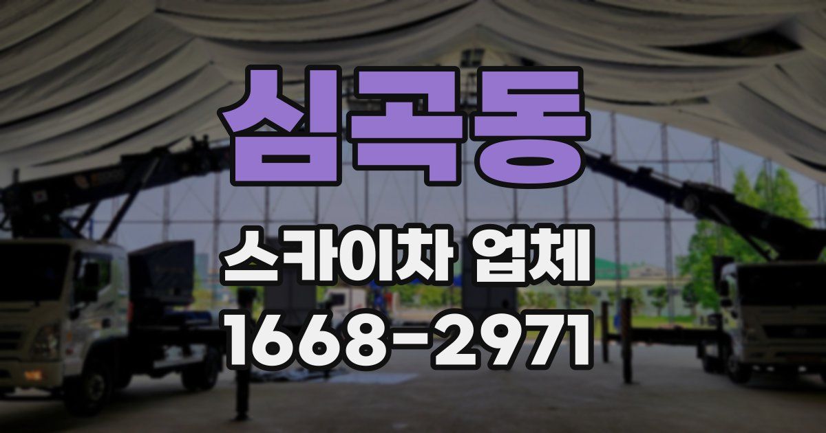 심곡동 스카이차 업체