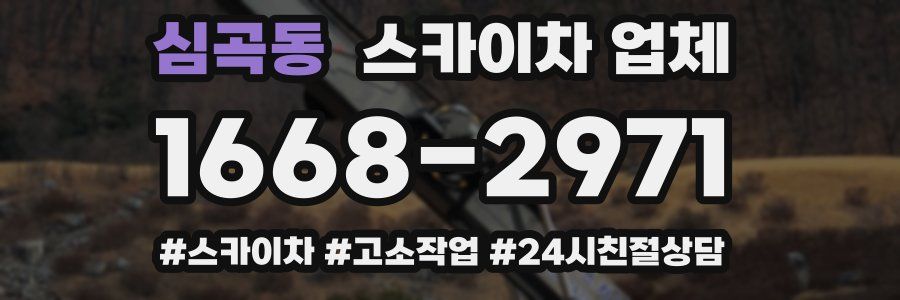 심곡동 스카이차 업체