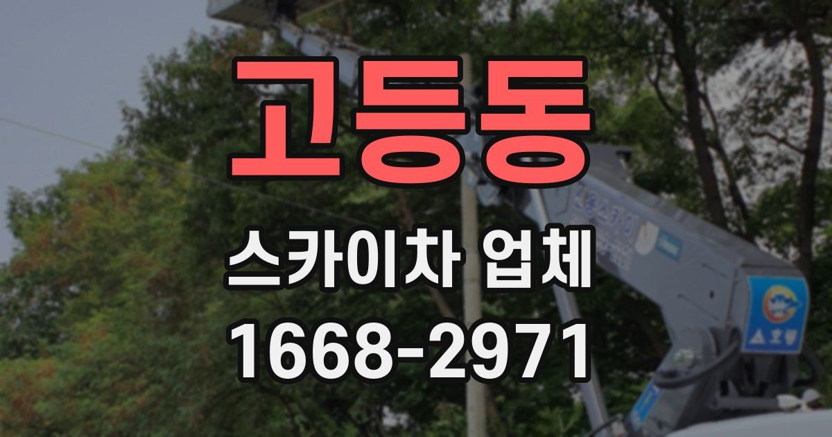 고등동 스카이차 업체