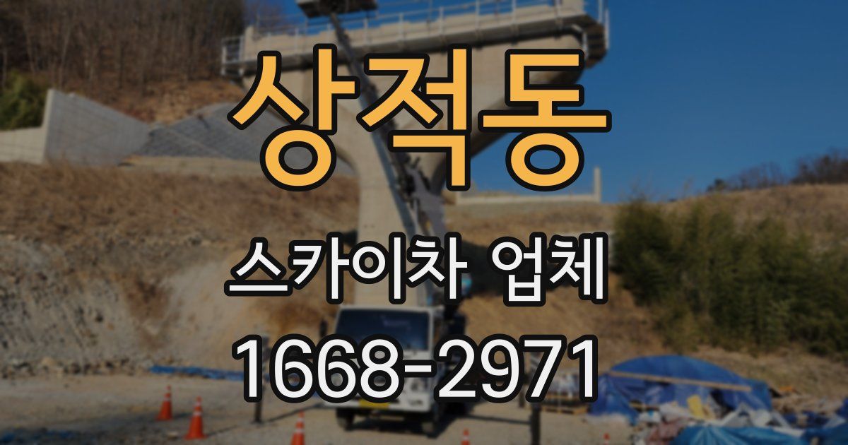 상적동 스카이차 업체
