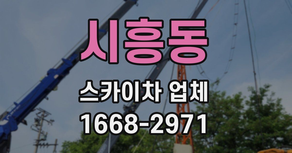 시흥동 스카이차 업체